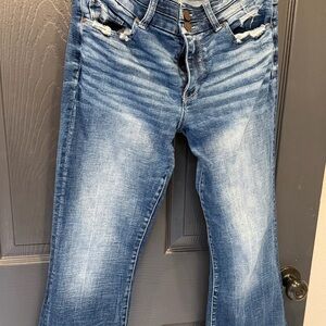 BKE Flare Jeans in Distressed Blue